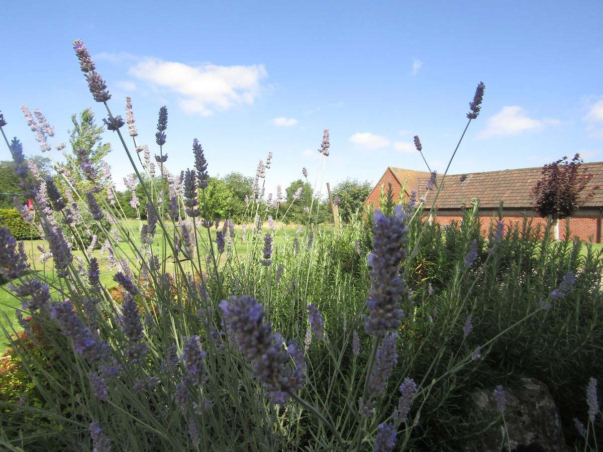 Home Farm Boreham Warminster Luaran gambar