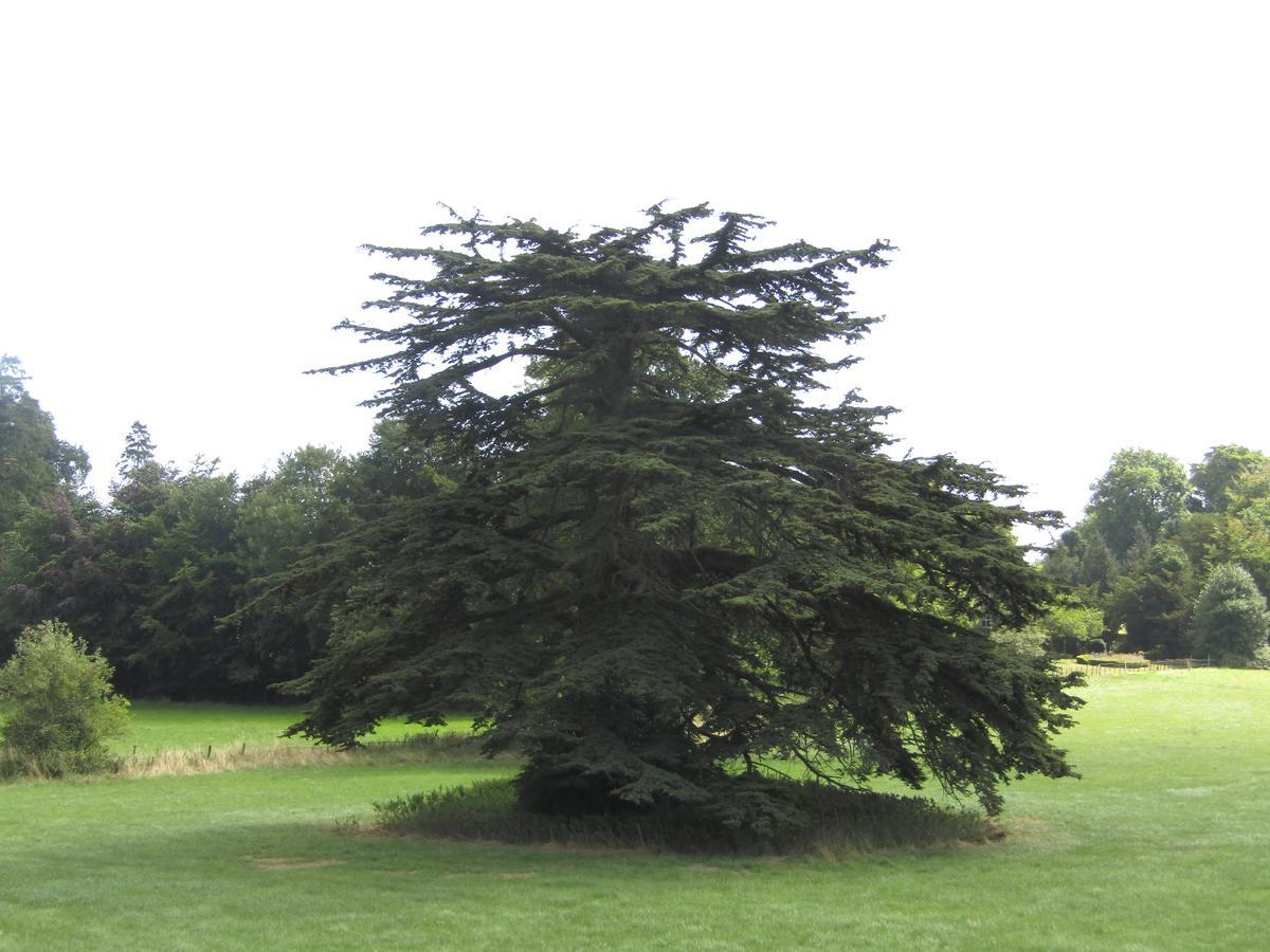 Home Farm Boreham Warminster Luaran gambar